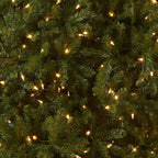 National Tree Company Pre-Lit Artificial Full Christmas Tree, Green, Dunhill Fir, Dual Color LED Lights, Includes PowerConnect and Stand, 10 Feet
