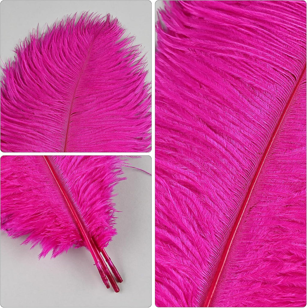 THARAHT Hot Pink Ostrich Feathers 12pcs Natural Bulk 10-12Inch 25cm-30cm for Crafts Wedding Party Centerpieces Easter Gatsbi and Home Decoration Feathers