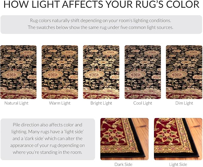 SAFAVIEH Area Rug 2x3 - Image 8