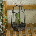 NCYP Small Geometric Terrarium - 4.1" x 3.5" x 5.9" Miniature Irregular Glass Terrarium Planter for Succulent Air Plants - Tabletop Garden Display Container, Black (No Plants, No Door)