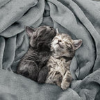 Utopia Bedding Soft Fleece Bed Blanket Full Size Ash Grey | Microfiber Plush - Image 4