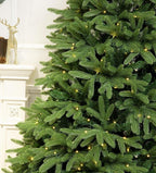 Evergreen Valley Fraser Fir Christmas Tree (6ft Pre-lit)